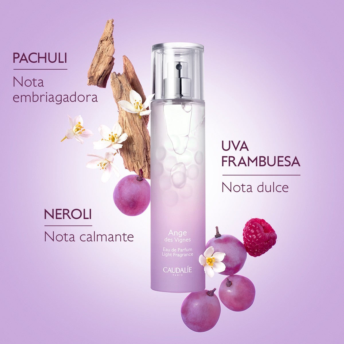 EAU DE PARFUM ANGE DES VIGNES 50 ML CAUDALIE