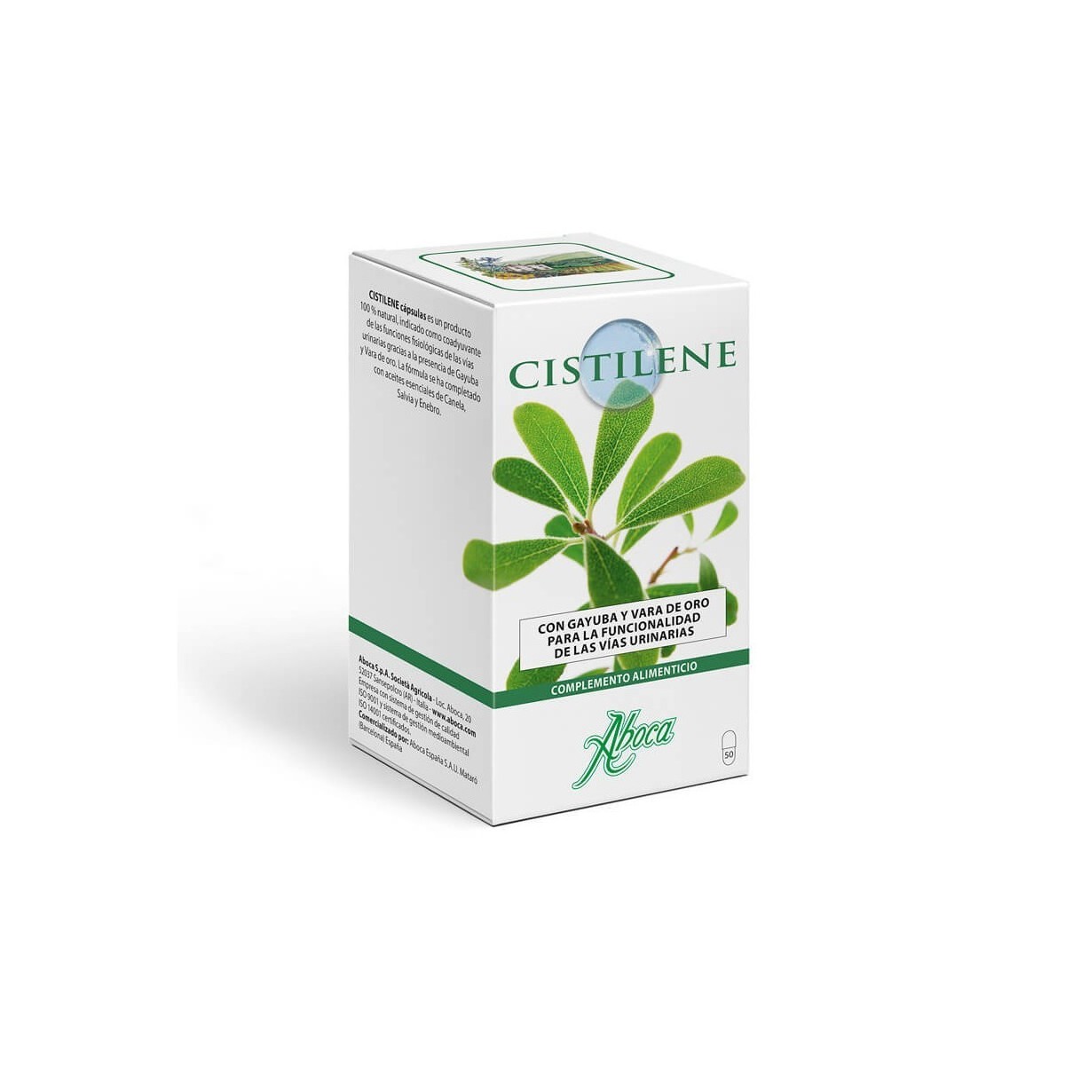 CISTILENE 50 CAPSULAS