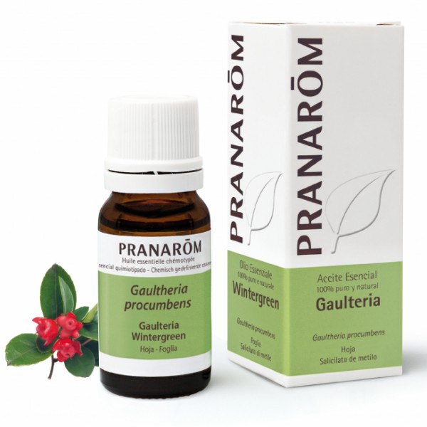 ACEITE ESENCIAL GAULTERIA BIO 1 ENVASE 10 ML PRANAROM