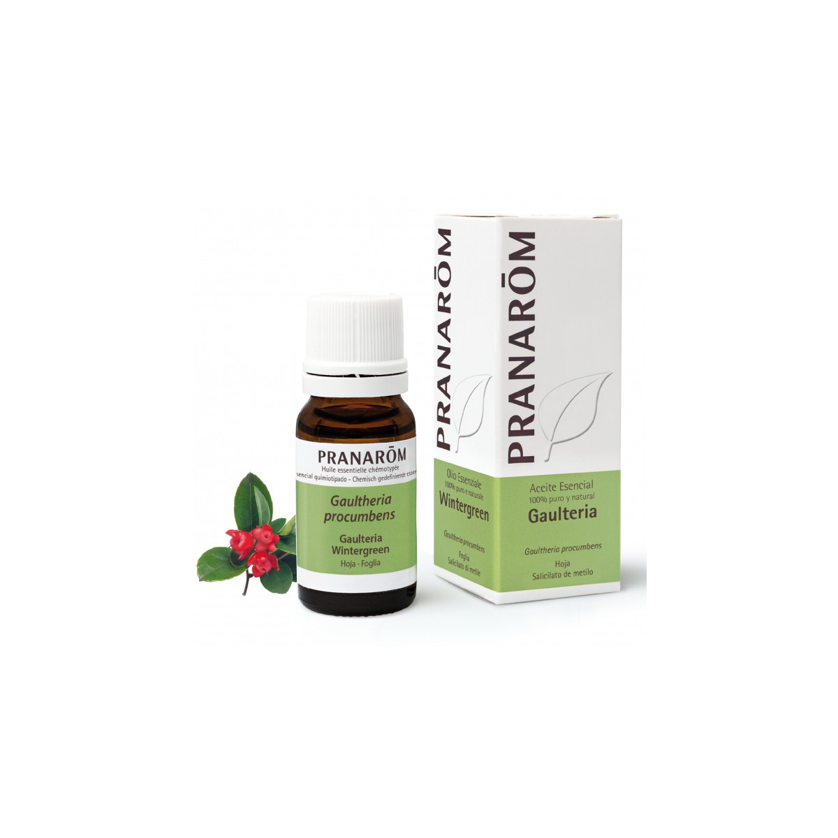 ACEITE ESENCIAL GAULTERIA BIO 1 ENVASE 10 ML...