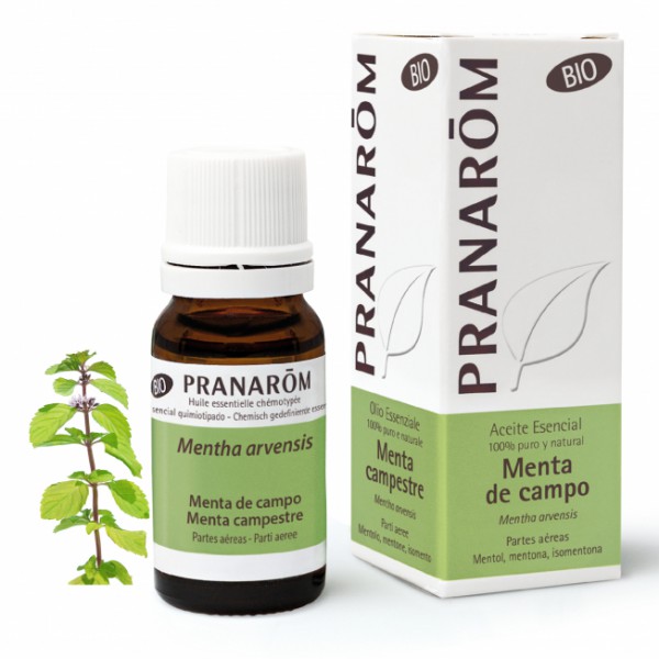 ACEITE ESENCIAL MENTA CAMPO 1 ENVASE 10 ML PRANAROM