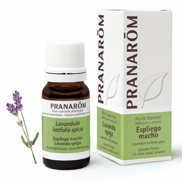 ACEITE ESENCIAL ESPLIEGO MACHO BIO 1 ENVASE 10 ML PRANAROM