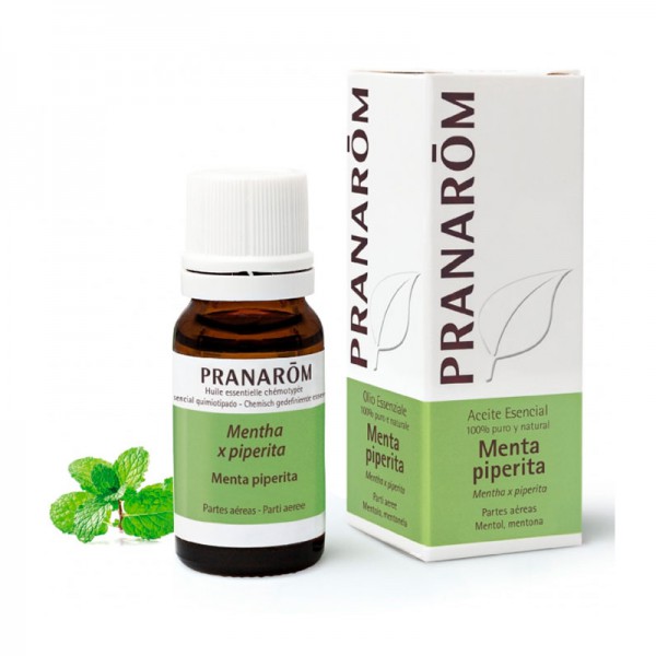 ACEITE ESENCIAL MENTA PIPERITA BIO 1 ENVASE 10 ML PRANAROM