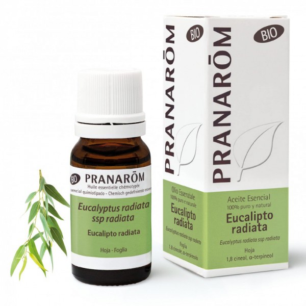 ACEITE ESENCIAL EUCALIPTO RADIATA BIO PRANAROM 10 ML