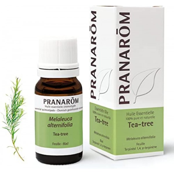 ACEITE ESENCIAL ARBOL DEL TE BIO 1 ENVASE 10 ML