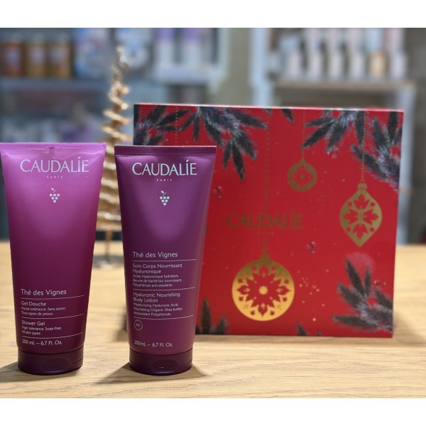 DUO CORPORAL HIDRATACION THE DES VIGNES CAUDALIE