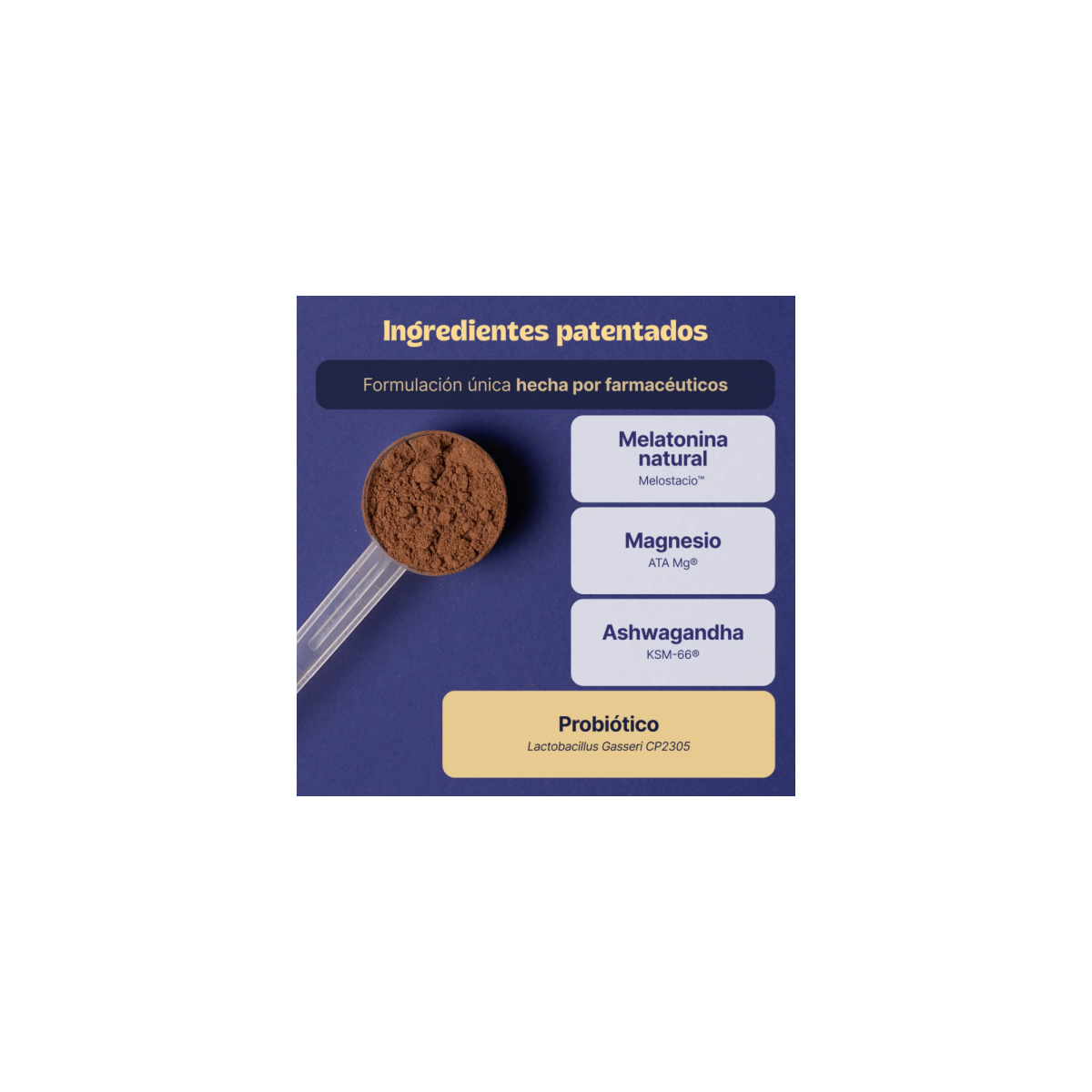 PROBIOTIC DREAMER SABOR CACAO 375 G BAIA FOOD