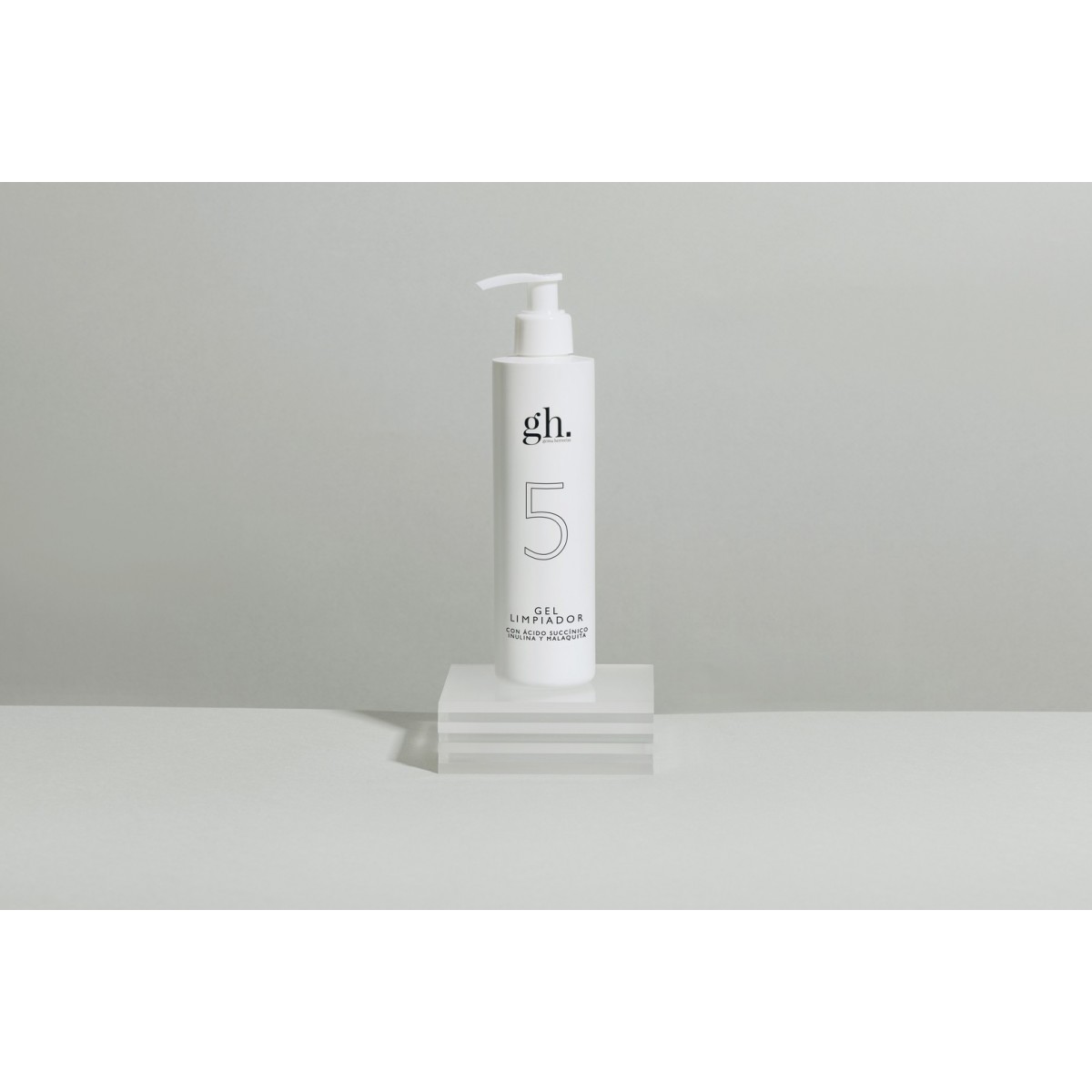 GH 5 GEL LIMPIADOR 250 ML