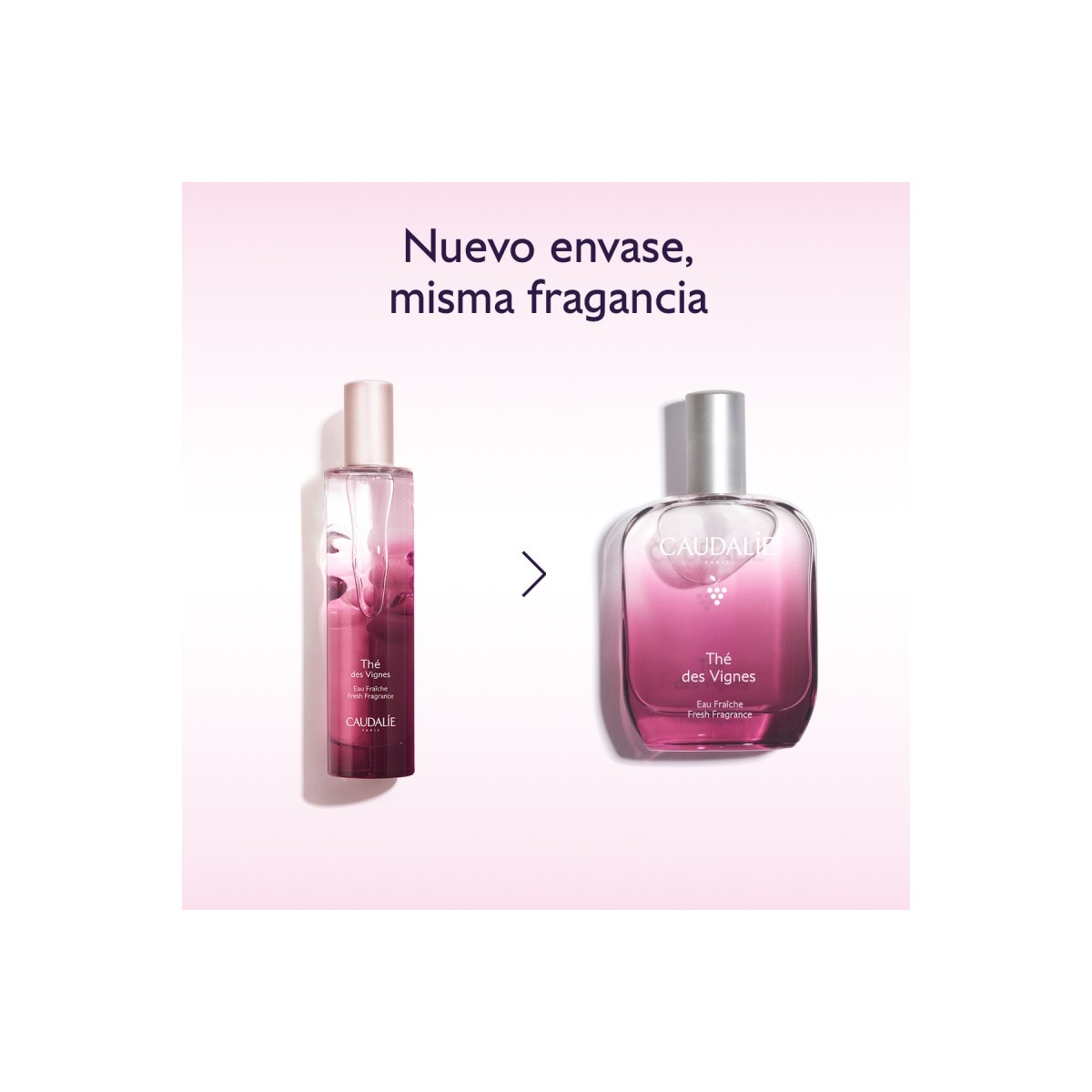 AGUA FRESCA THE DES VIGNES 50ML CAUDALIE