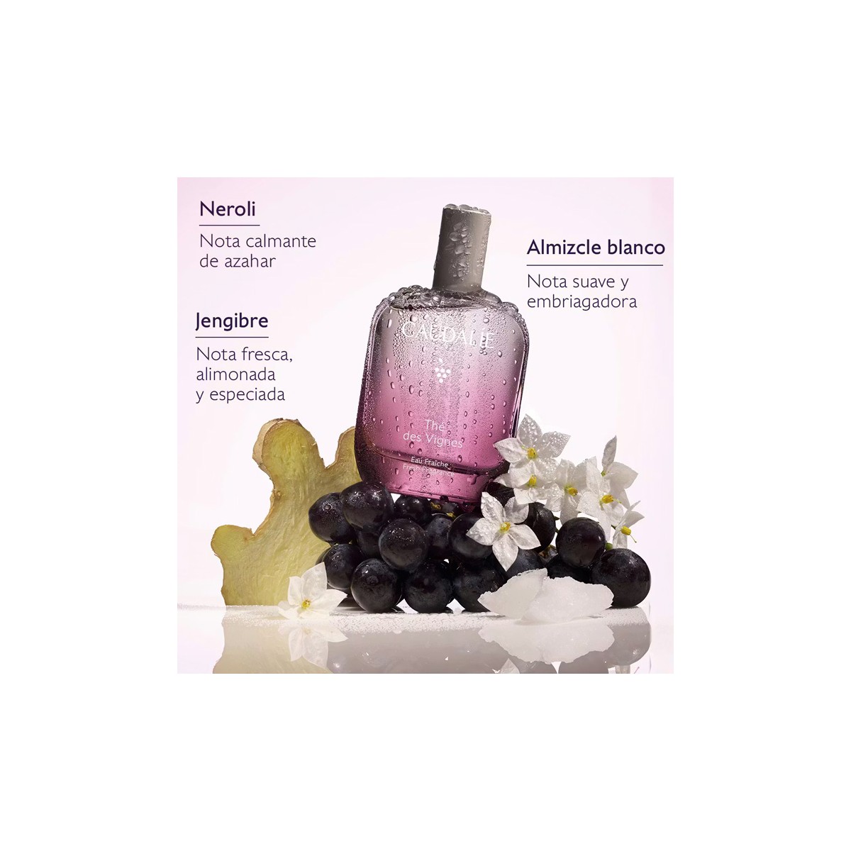 AGUA FRESCA THE DES VIGNES 50ML CAUDALIE