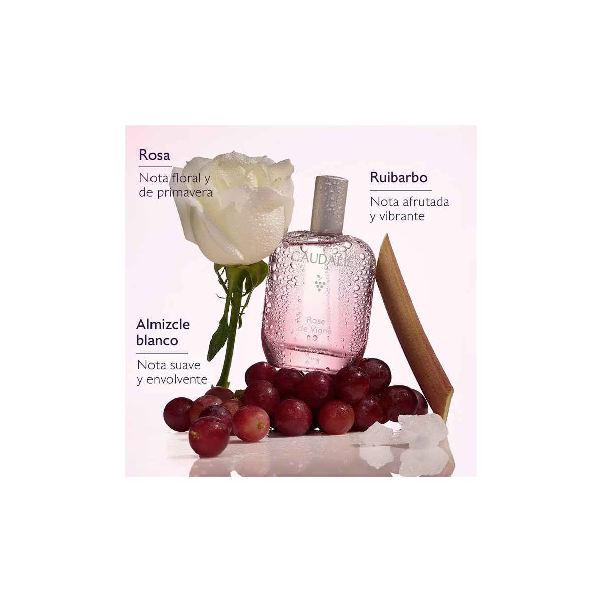 AGUA FRESCA ROSE DE VIGNE CAUDALIE 50ML